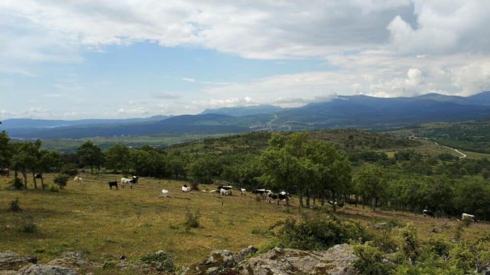 Alojamientos Estrella Rural - Imagen 41