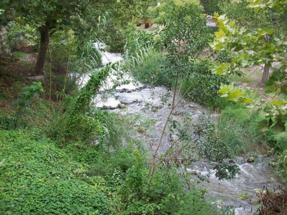 El Patio de Las Cebollas - Imagen 28
