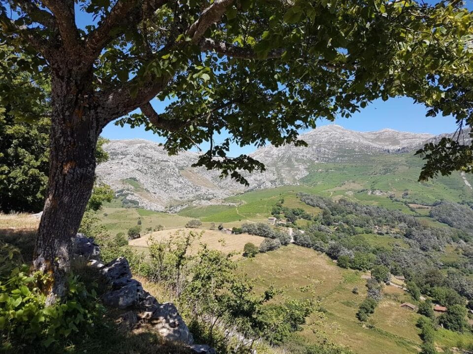 Valle de Bueida - Casa Viscárcel - Imagen 30