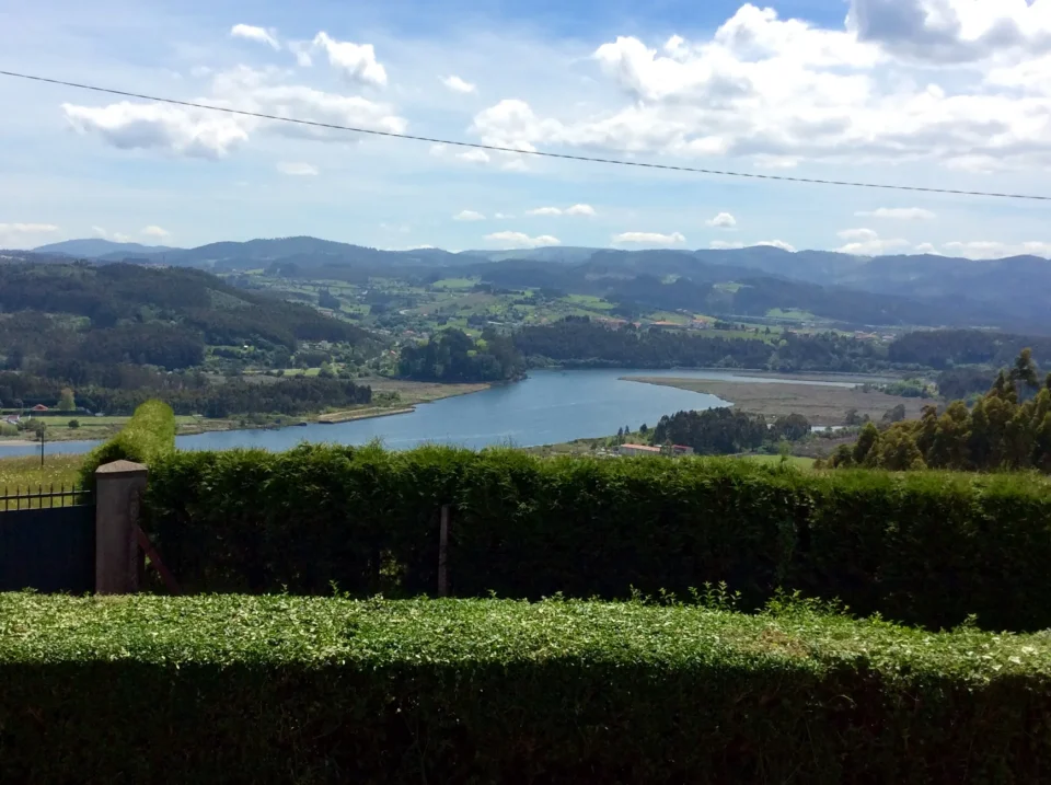 Coto del Pomar - Imagen 26