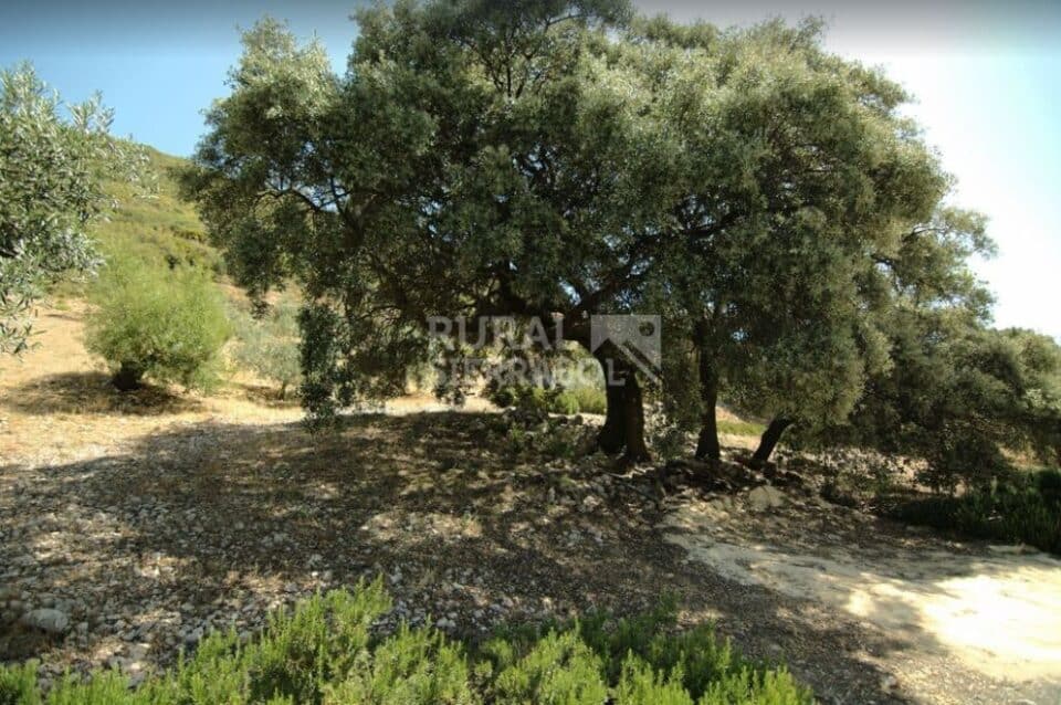 Elegante Casa Rural en plena montaña, con bonitas vistas - Imagen 24