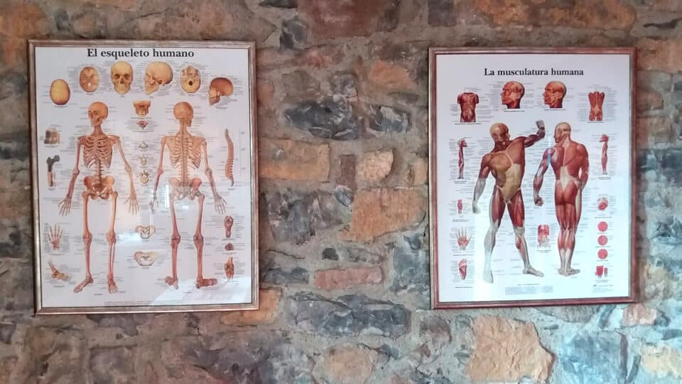 Escuelas de Fuentes - Estudio 2 personas - Imagen 4
