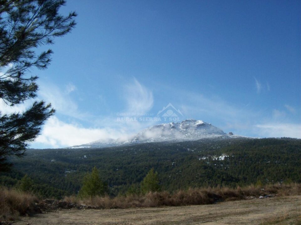 Cortijo Pekenike - Imagen 9