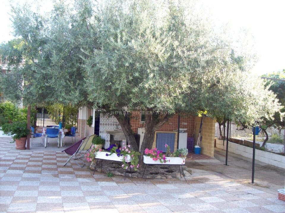 Cortijo Pekenike - Imagen 14