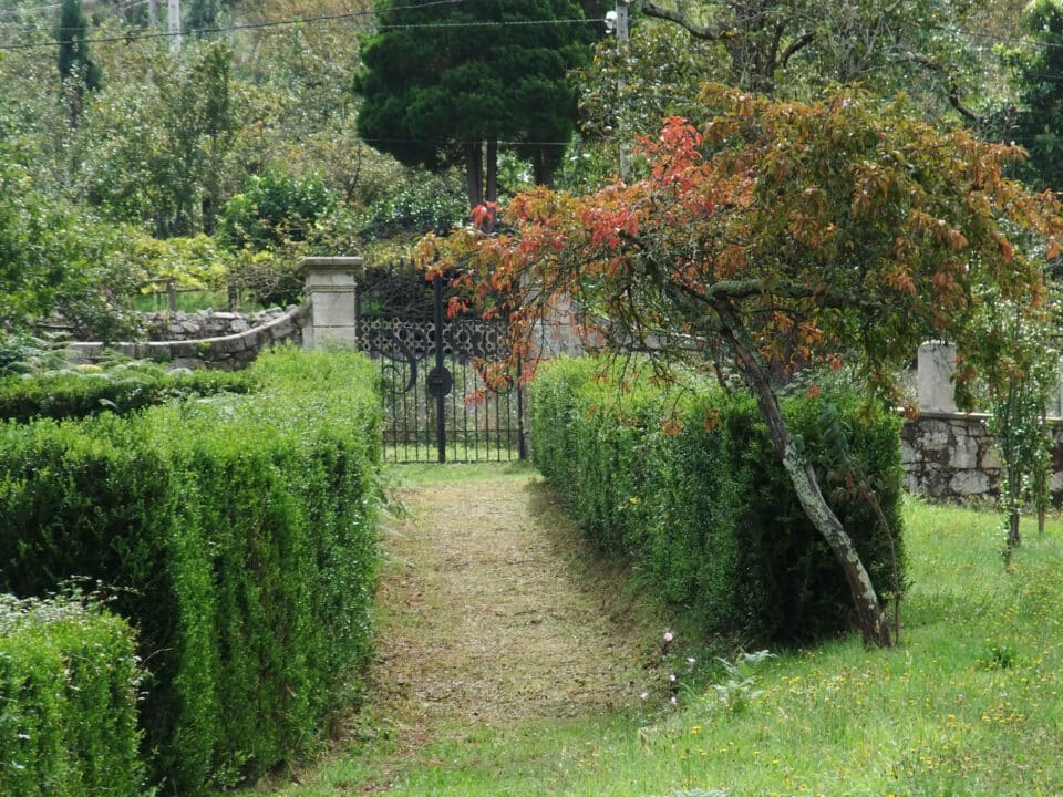Pazo da Cruz - Imagen 6