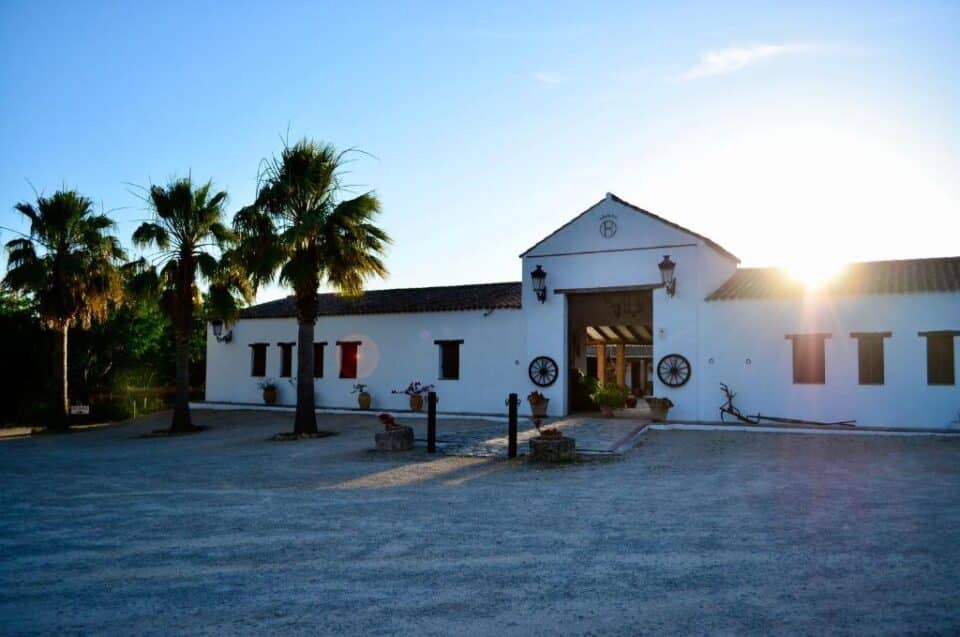 Cortijo Mesa de la Plata - Imagen 15