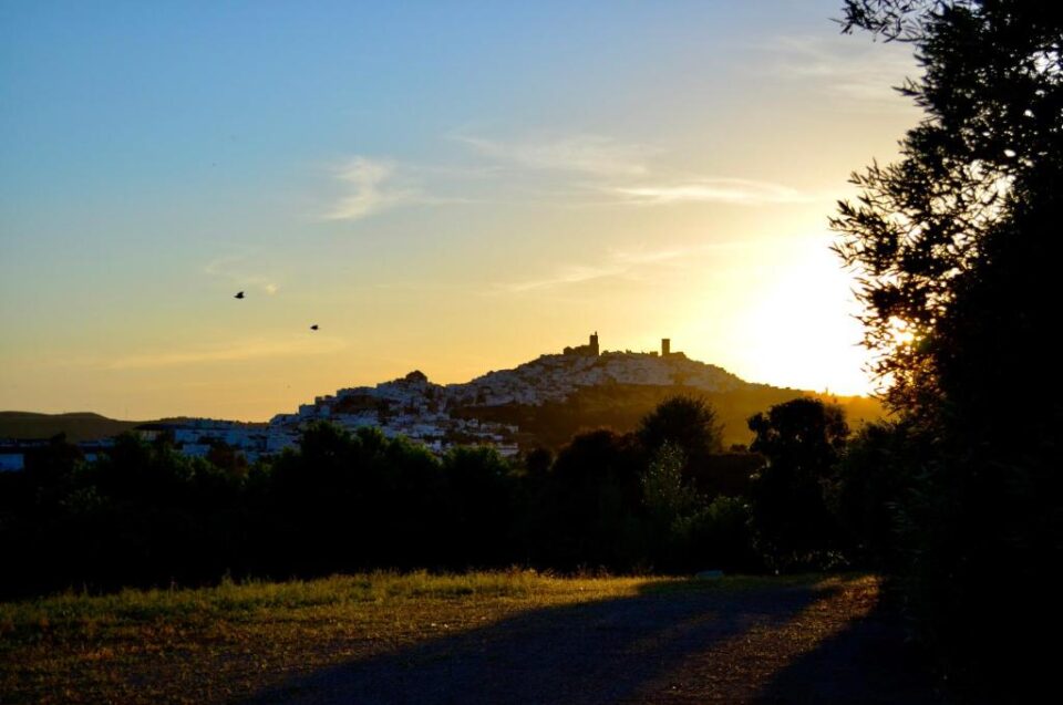 Cortijo Mesa de la Plata - Imagen 16