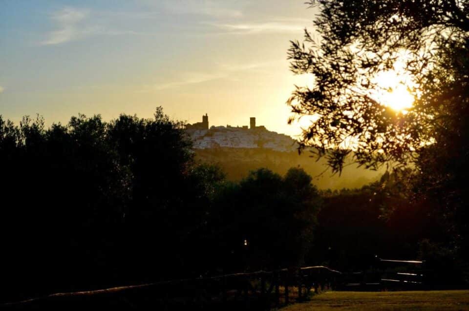 Cortijo Mesa de la Plata - Imagen 20