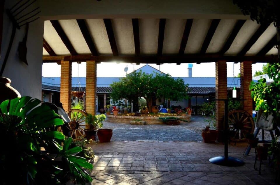 Cortijo Mesa de la Plata - Imagen 25
