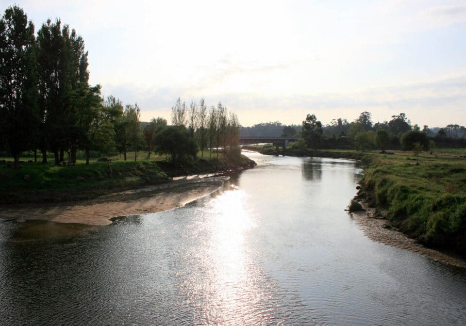 Pazo Carrasqueira - Imagen 11