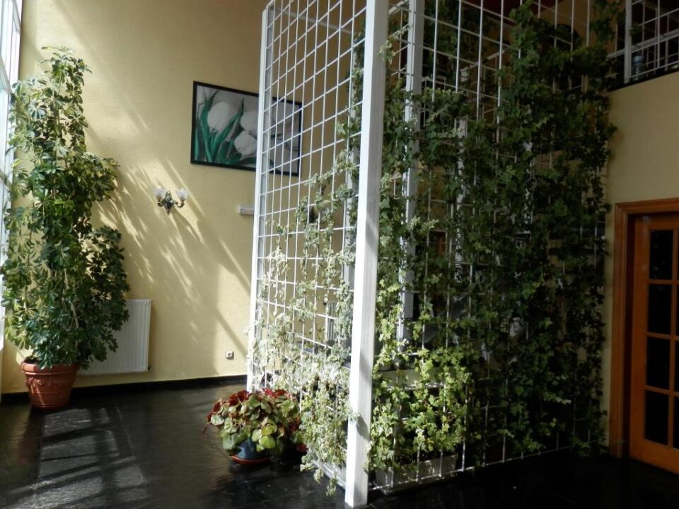Hotel Vega del Sella - Imagen 20