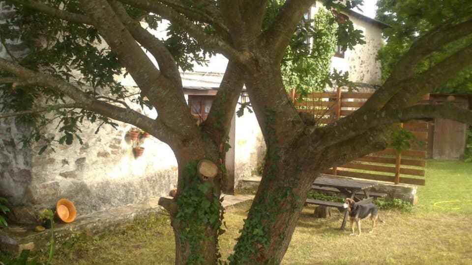 Casa Playa Fontela - Imagen 7