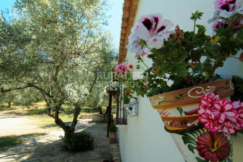 Maravillosa Casa Rural al sur del Torcal de Antequera, con piscina y barbacoa - Imagen 48