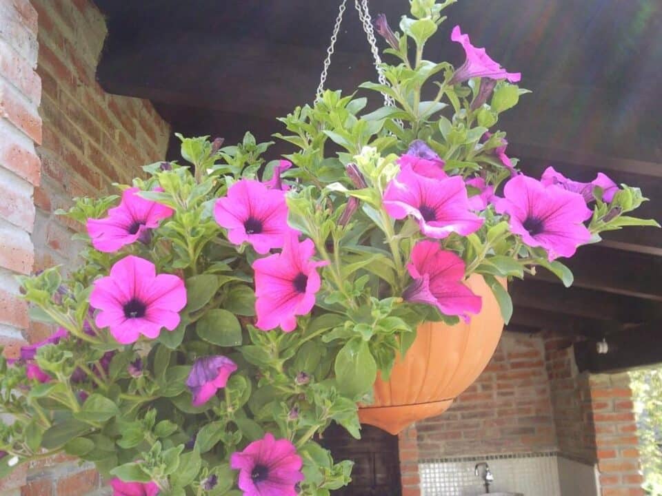 Apartamento La Guertona - Imagen 10