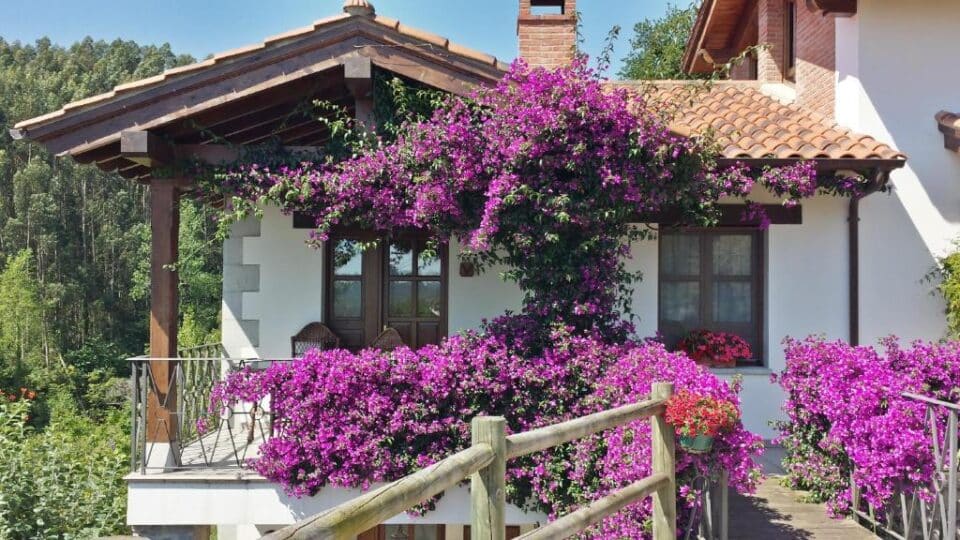 Apartamento La Guertona - Imagen 13