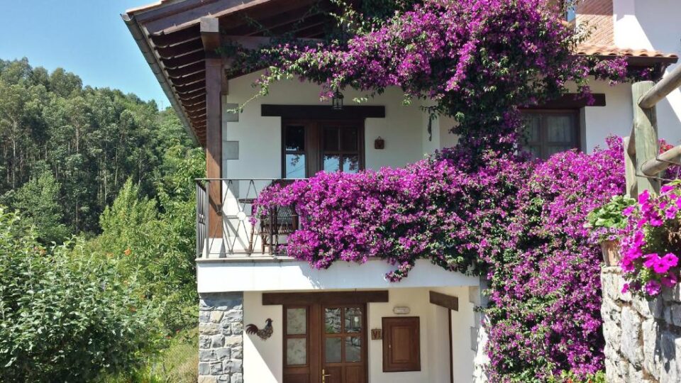 Apartamento La Guertona - Imagen 18