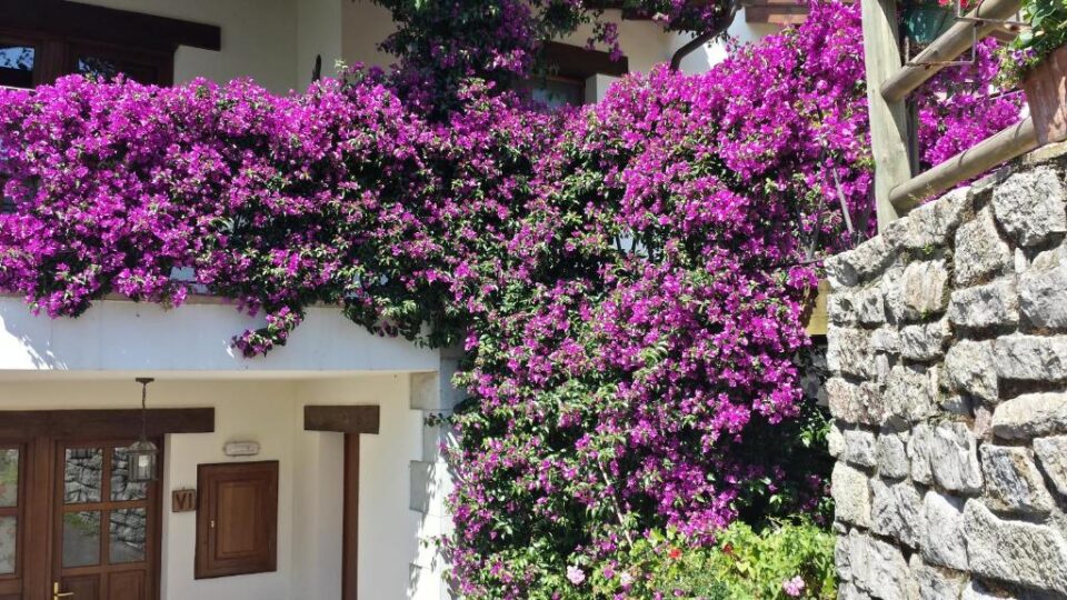 Apartamento La Guertona - Imagen 19