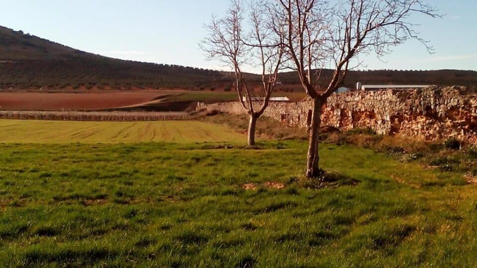 Hotel Rural La Vida de Antes - Imagen 4