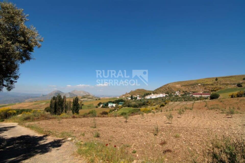 Maravillosa Casa Rural al sur del Torcal de Antequera, con piscina y barbacoa - Imagen 60