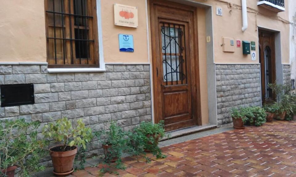 El Patio de Las Cebollas - Imagen 32