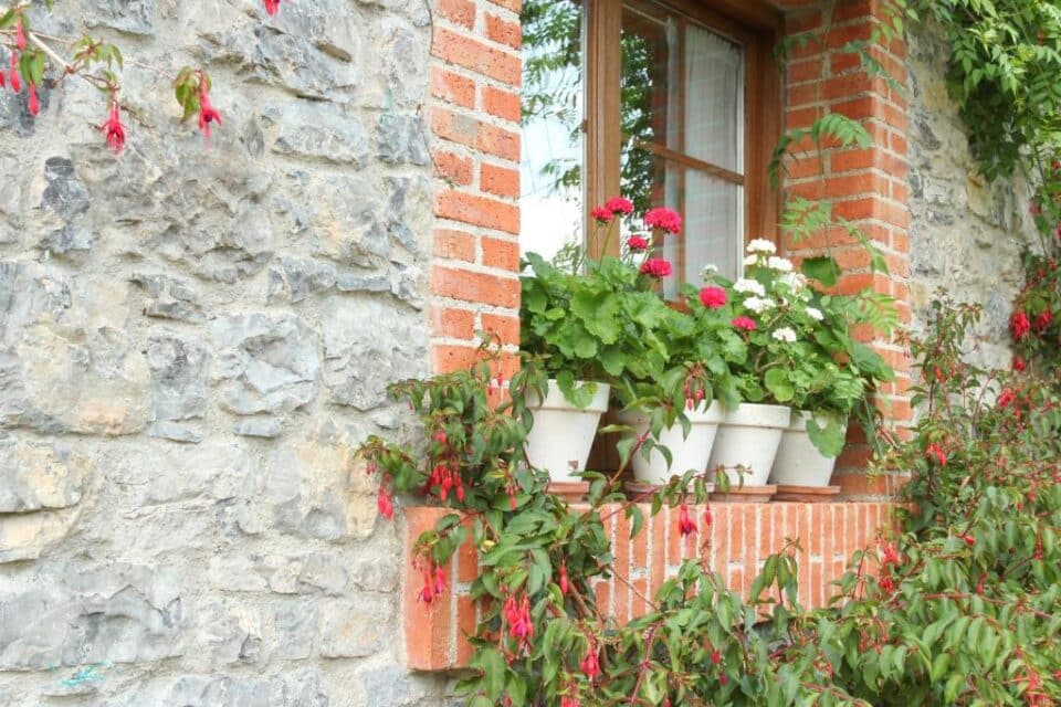 Casa Inés - Imagen 16