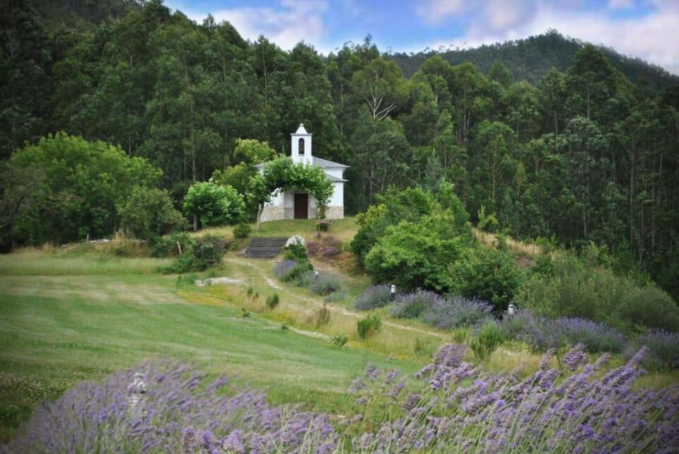 Finca O Bizarro - Imagen 16