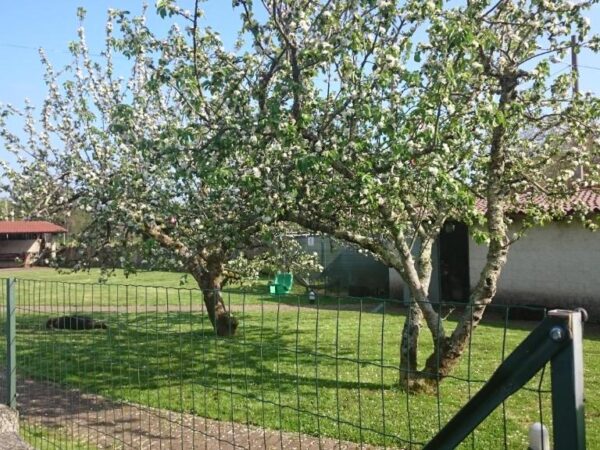 Casa rural en Baio (Zas, A Coruña)-2674