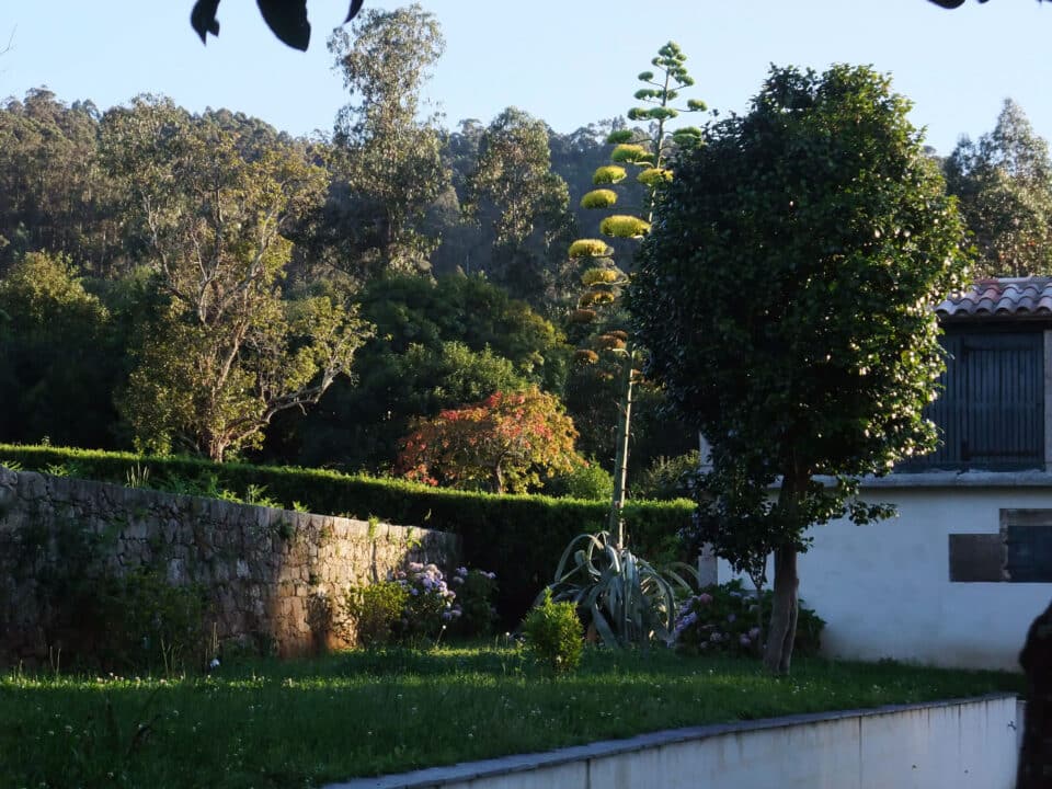 Pazo da Cruz - Imagen 23