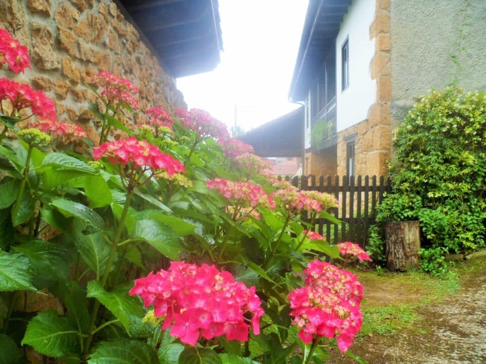 Casa Rural La Retuerta - Imagen 16