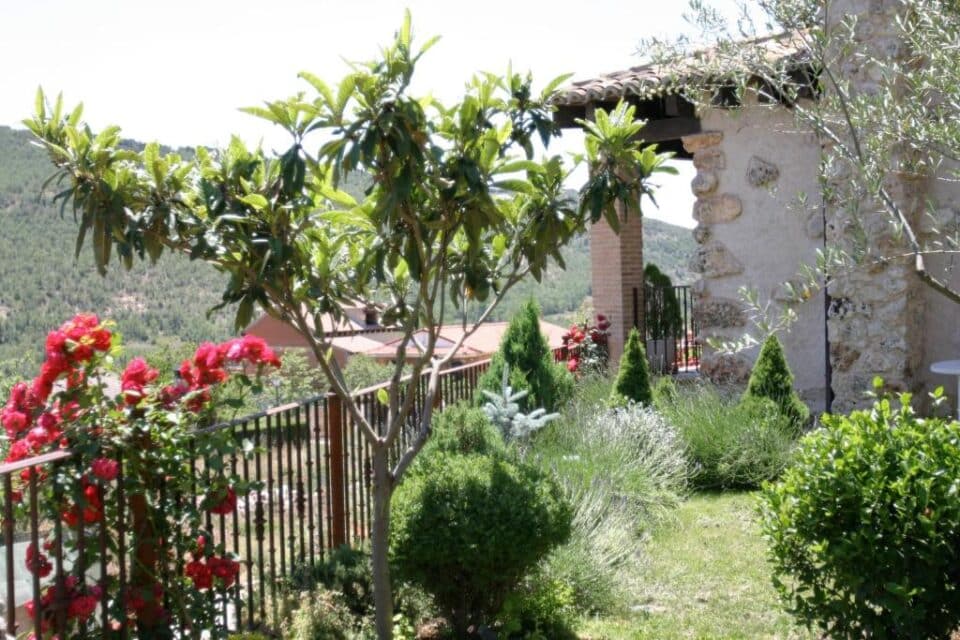Casa Rural El Marañal - Imagen 46
