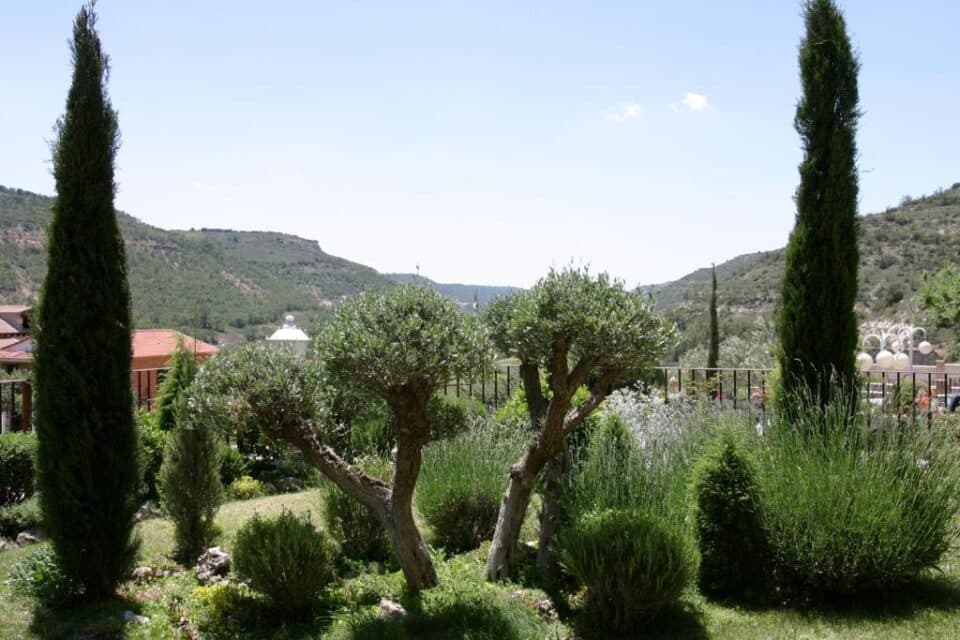 Casa Rural El Marañal - Imagen 48