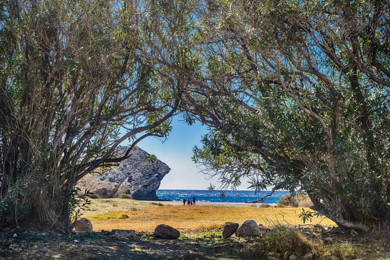 Actividades del Parque Natural del Cabo de Gata - Níjar