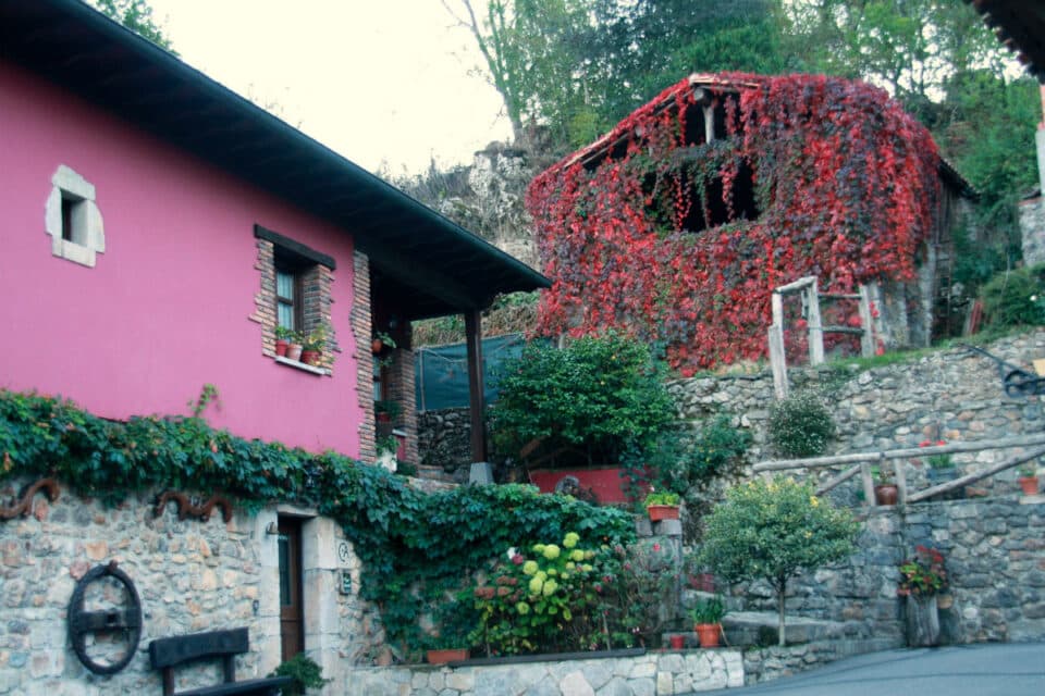 Casa Rural El Trechal - Imagen 6