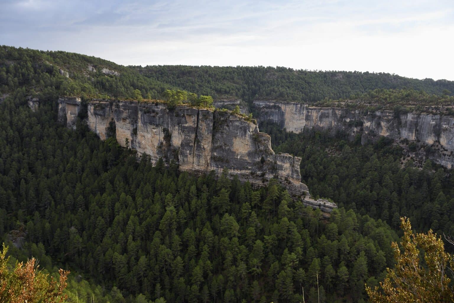 Fauna y flora del Nacimiento del Río Cuervo