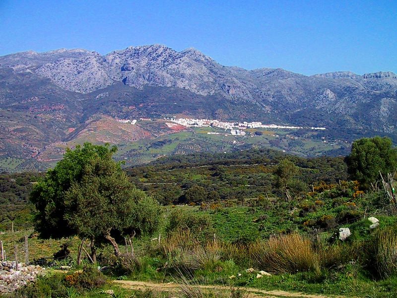 Fiestas tradicionales y celebraciones de Cortes de la Frontera