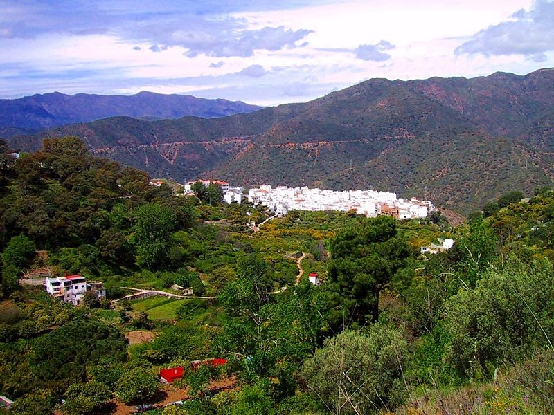 Fiestas tradicionales y celebraciones de Istán