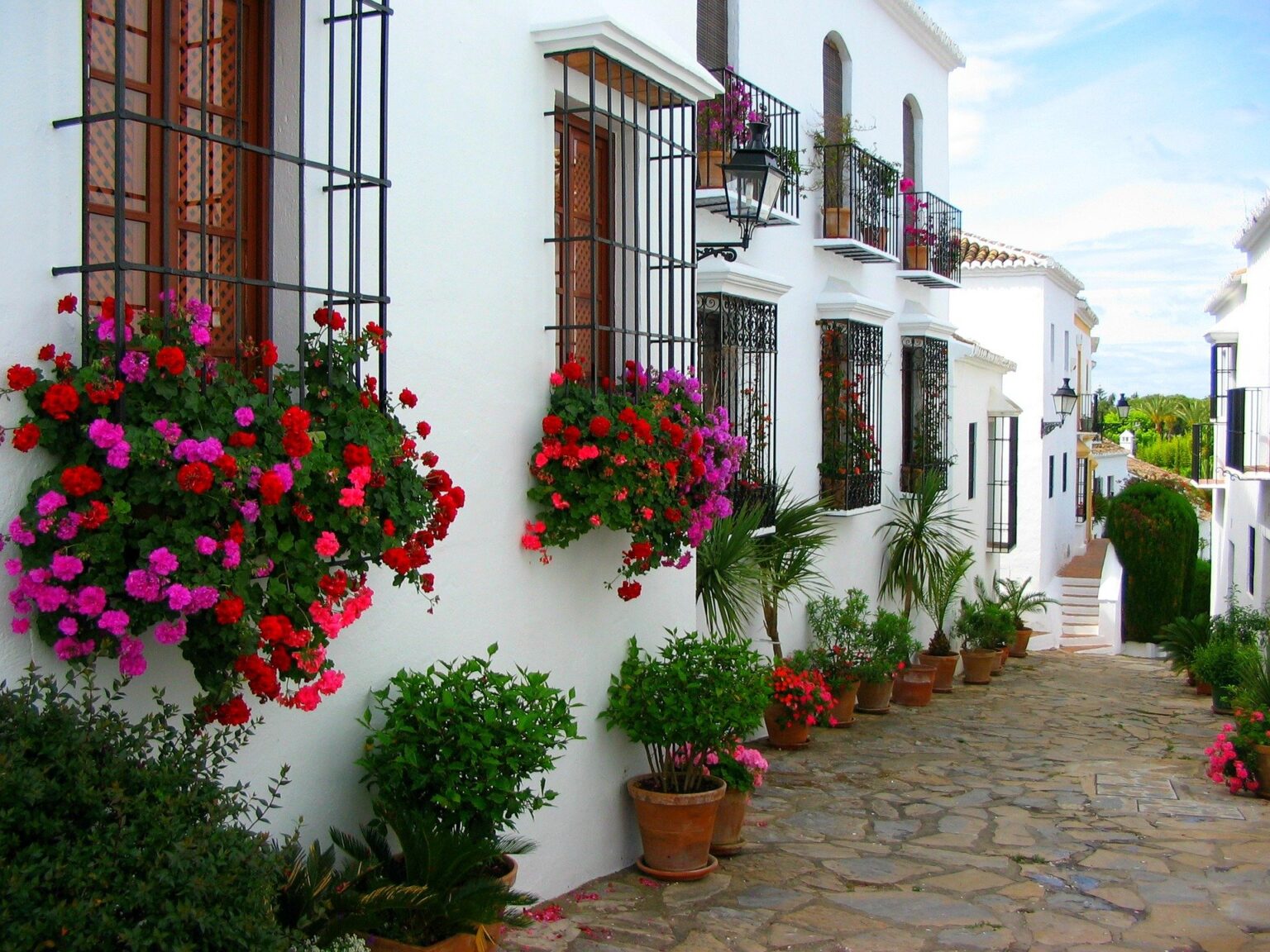 Fiestas tradicionales y celebraciones de Marbella