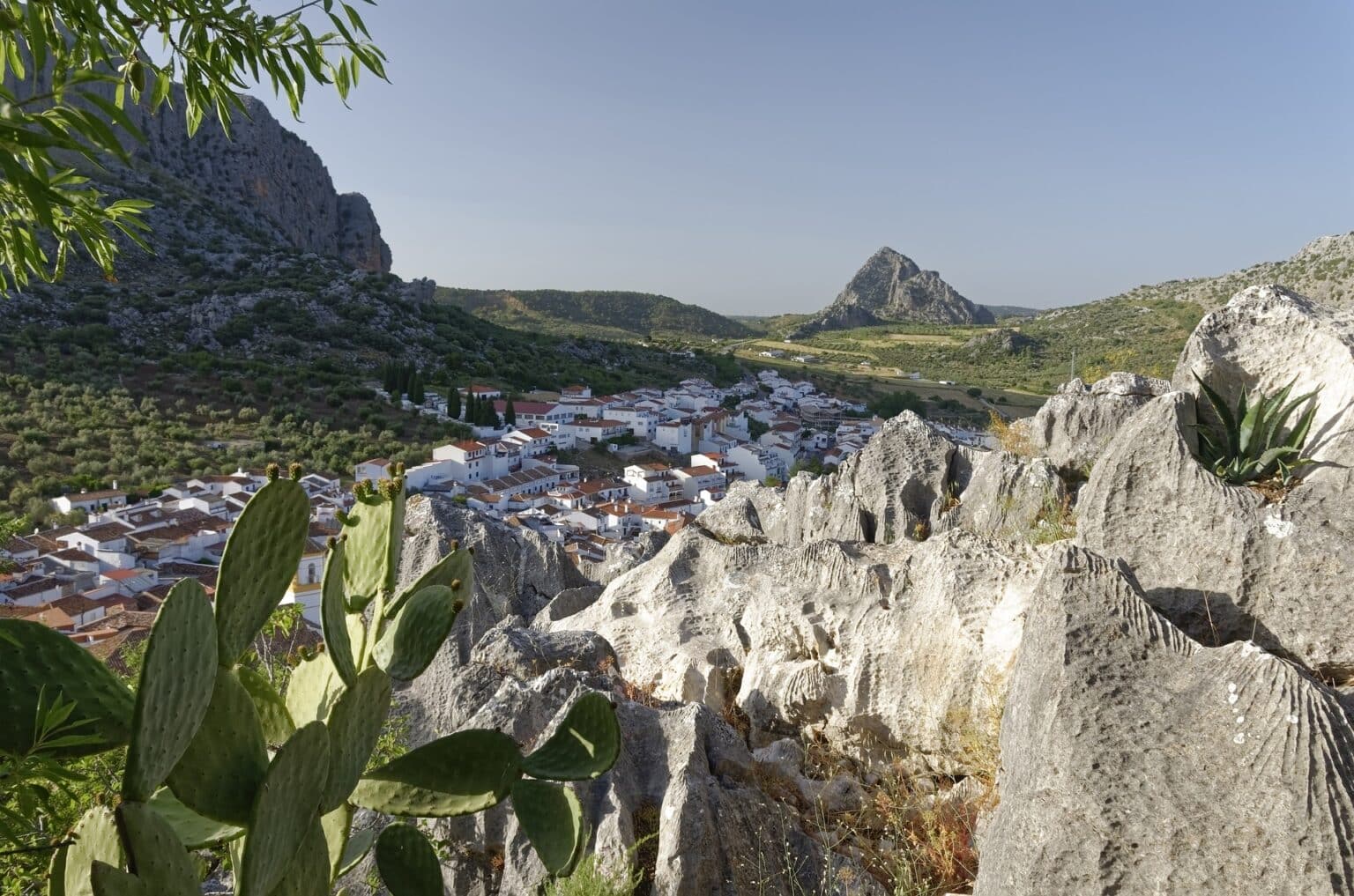 Fiestas tradicionales y celebraciones de Montejaque