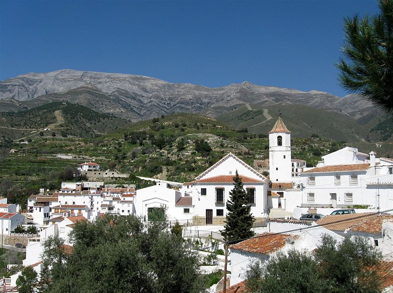 Fiestas tradicionales y celebraciones de Sedella