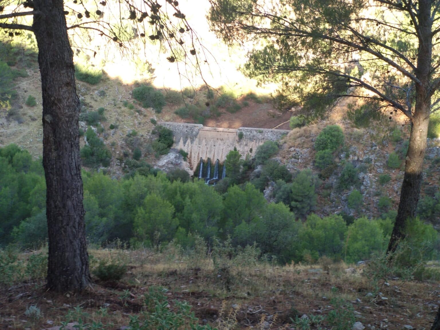 Flora de la Sierra de las Nieves