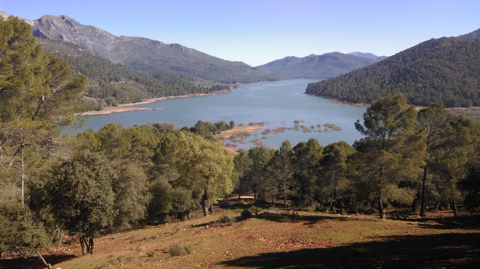 Flora del Parque Natural Sierras de Cazorla, Segura y Las Villas