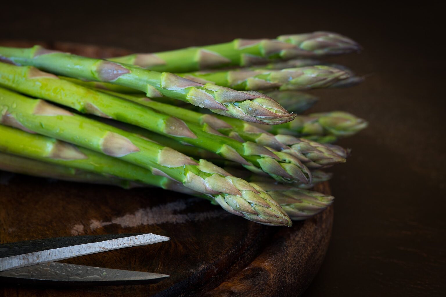 Gastronomía de Medina Sidonia