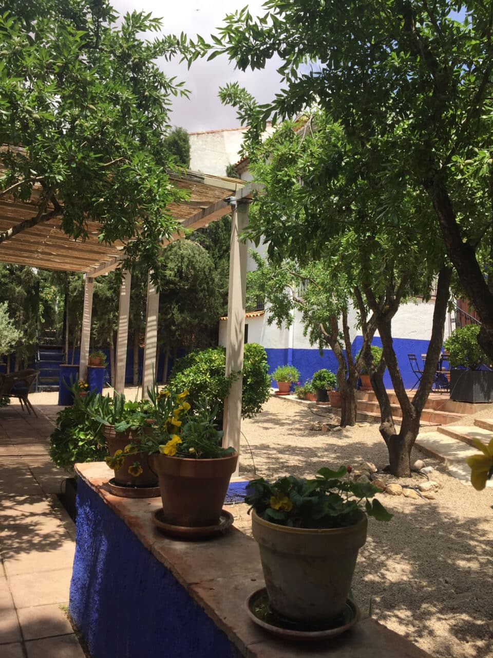 El Huerto de Dulcinea - Imagen 2