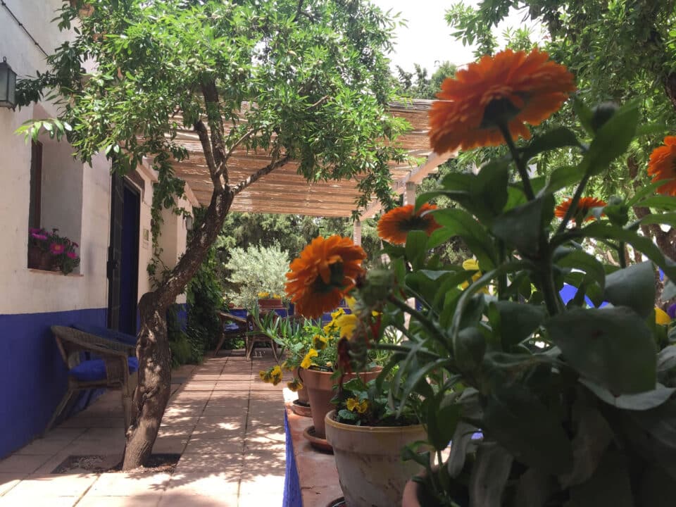 El Huerto de Dulcinea - Imagen 3