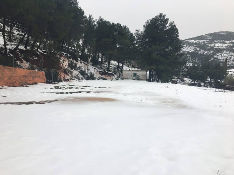 Complejo rural Mas de la Pinaeta - Casa Lavanda - Imagen 22