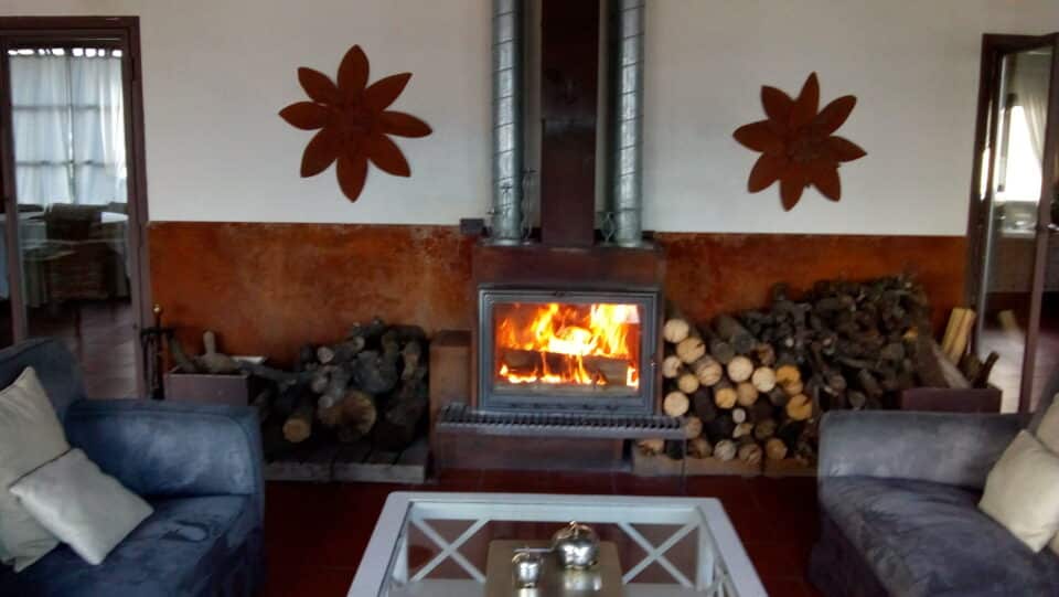 La Simona Posada - Imagen 2