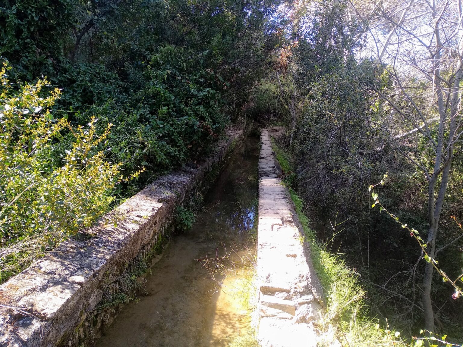 Otras curiosidades del Parque Natural Montes de Málaga