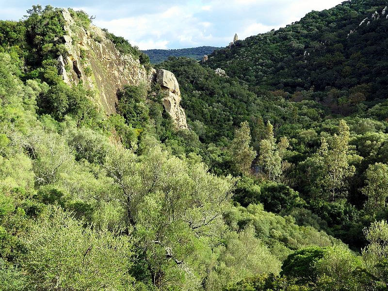 Paisajes del Parque Natural de Los Alcornocales