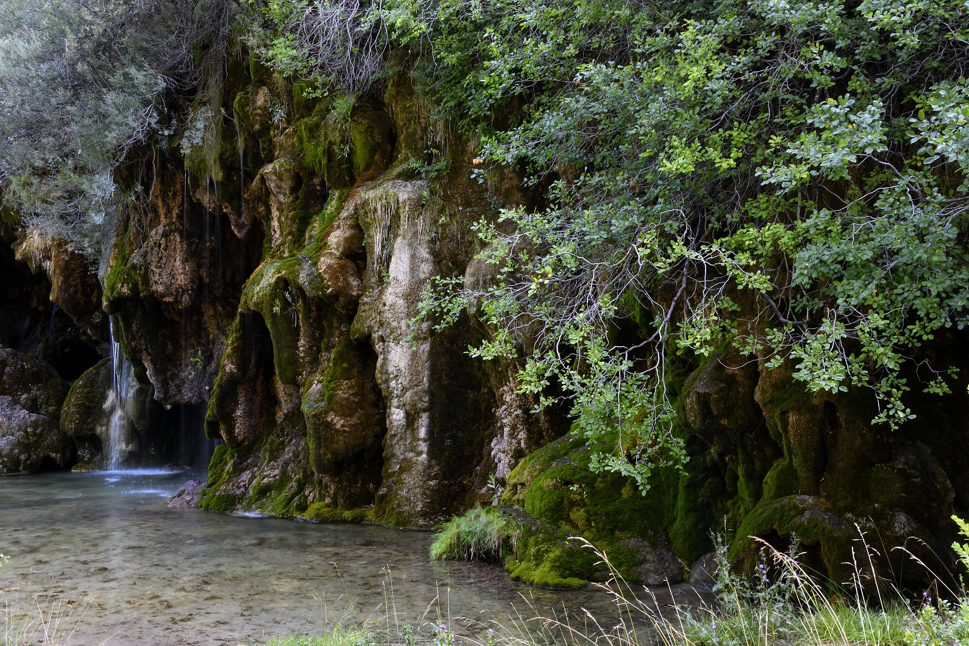 Qué debes saber para visitar el Nacimiento del Río Cuervo