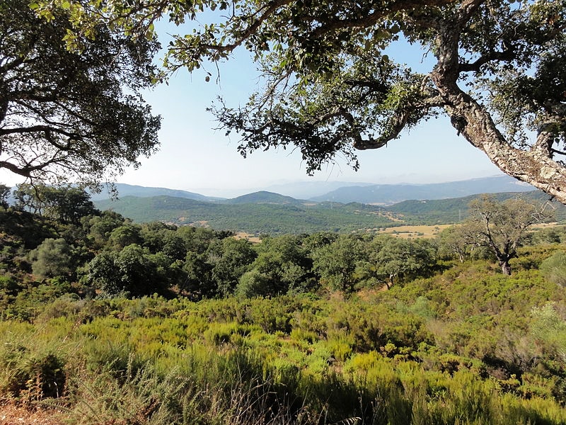 Qué ver en el Parque Natural de Los Alcornocales